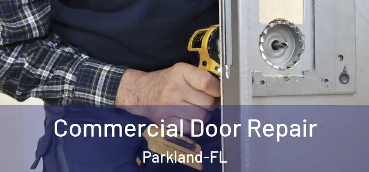  Commercial Door Repair Parkland-FL