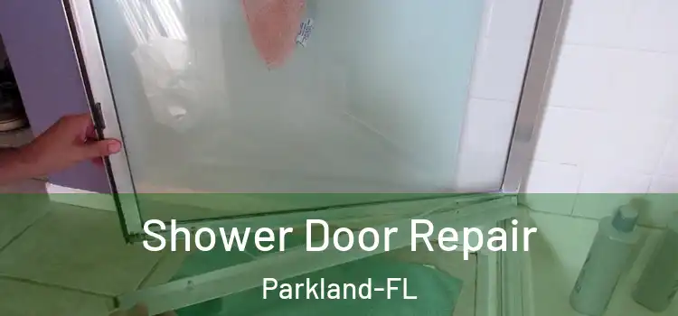  Shower Door Repair Parkland-FL