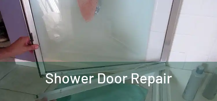  Shower Door Repair 