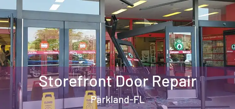Storefront Door Repair Parkland-FL